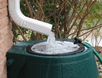 Dự trữ nước mưa cần mua bồn chứa như thế nào, mang lại hiệu quả cao 